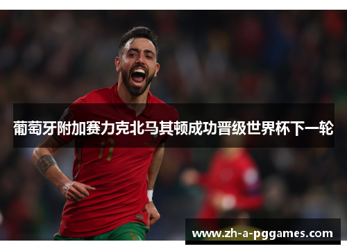 葡萄牙附加赛力克北马其顿成功晋级世界杯下一轮