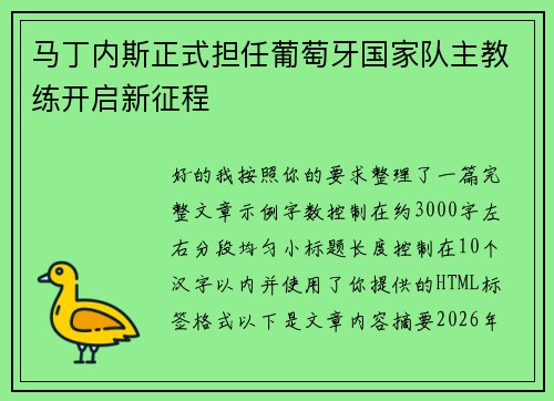 马丁内斯正式担任葡萄牙国家队主教练开启新征程